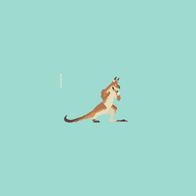 Boxing Kangaroo