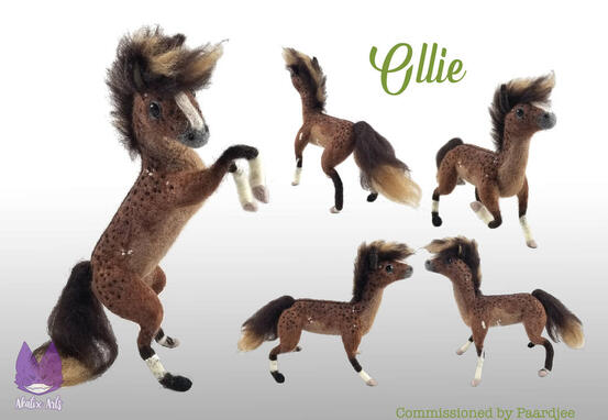 Horse Ollie